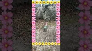 Oak flying next to the swings!! #music #newmusic #nature #fairy #witchtok #witch #telekenises