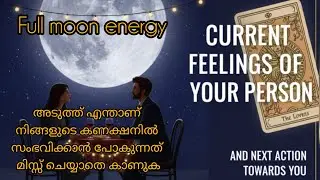 അവരുടെ താൽപര്യങ്ങൾ എന്തൊക്കെയാണ് ?നിങ്ങളോട് എന്തൊക്കെയാണ് പങ്കുവയ്ക്കാൻ താല്പര്യപ്പെടുന്നത്??#tarot 