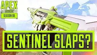 The Most UNDERRATED Gun | Sentinel Gameplay | Apex Legends Season 8 [PS4]