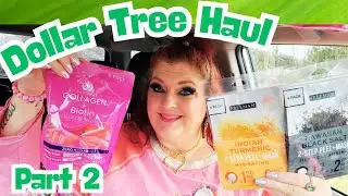 DOLLAR TREE HAUL PART 2 | More WISHLIST Items | January 15, 2026