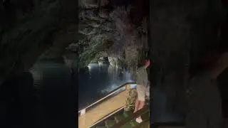 (Excursion 4) Punta Cana Evening Buggy Tour with Dominican Dinner and Caving Excursion. YDSMG Vlog