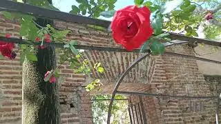 Jard&iacute;n del Pr&iacute;ncipe de Anglona. Rincones de Madrid