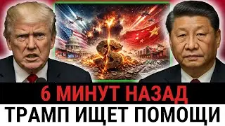 Trump and Economy Minister demand GLOBAL coalition as China cuts off US vital...