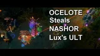 Ocelote Steals NASHOR with LUX and GO AFK