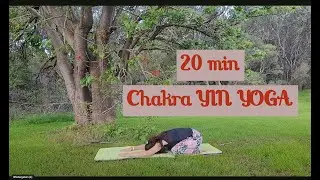 20 min Chakra YIN YOGA - Part 2 (heart, throat, third eye & crown chakra) PURE RELAX