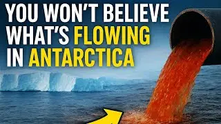 You Won’t Believe What’s Flowing in Antarctica!