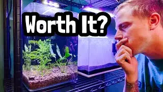 Seachem Flourite Planted Substrate Review