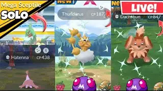 Hunting✨️Shiny Hatenna & Dachsbun On Spotligh Hour In #PokemonGo