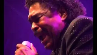 George McCrae & MotownHead 'Rock Your Baby' Live