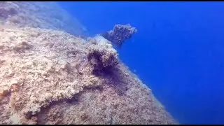 Anchor Wall Dive in Croatia