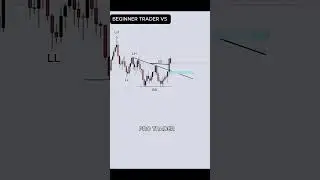 Beginner Trader vs Pro Trader 📉📈