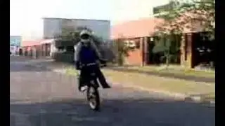 daz mar fat endo