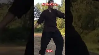 Tai chi chuan pour d&eacute;velopper sa force interne.