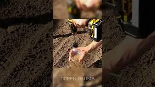 Strange but Useful Tips to Transform a Garden on a Backyard ! 🪴 #gardening #shorts