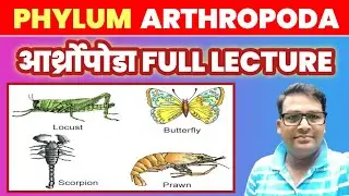 Arthropoda one shot lecture | Phylum Arthopoda best lecture | #TGT2023-24 #PGT_Biology_2023_24
