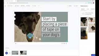 Animoto.com (version 3) Tutorial