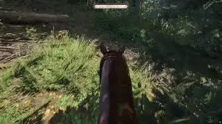 KCD2 - Hardcore Henry - All 9 negative perks!
