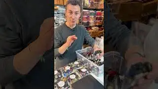 SURTIDO DE BOTONES  #merceria #asmr #botones
