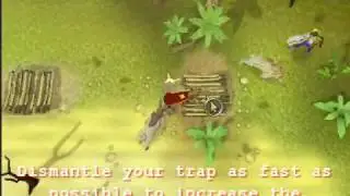 RuneScape Graahk Hunting