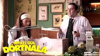 Öyle Bakınca Seviyorsun Sandım | Niyazi Gül Dörtnala