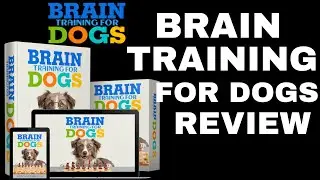 Brain Training For Dogs Review | Brain Training For Dogs | Brain Training For Dogs Book