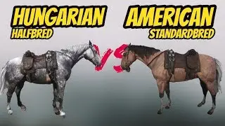 Hungarian Halfbred VS American Standerbred Red Dead Redemption 2