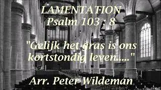 Peter Wildeman | Psalm 103 | Hanno Bosch orgel Nieuwe Kerk Delft