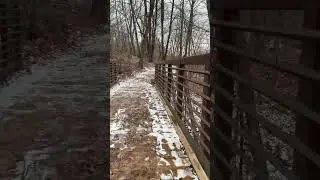 Relaxing walk at the Hickory Hills trail | Nature Sounds and Winter Scenery  