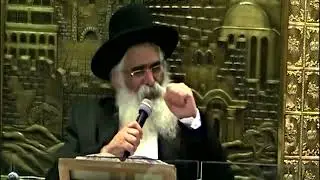הרב יורם אברג'ל - המסר היומי - בעמל תורה משיגים הכל - ט''ו בשבט תשפ''ו