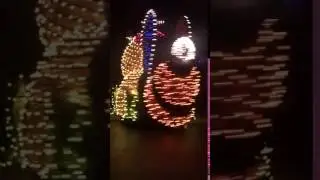 1/21/17 Main Street Electrical Parade ~ DisneyLand Turtles