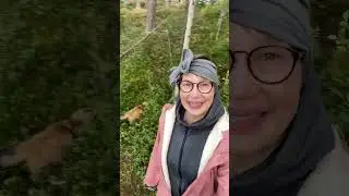 Vuosilomakuulumisia Lapista