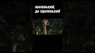 ЛИДЕРСКИЕ КАЧЕСТВА: #shorts #рекомендации #мем #memes #anime #art #shortvideo #short #funny