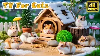 🔴 Calming CAT TV－Best Funny Mouse Video to Prevent Boredom & Reduce Anxiety for Cats When Home Alone