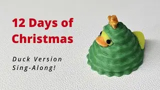 🎶The 12 Days of Christmas (Duck Version) | Sing-Along Music Video ✨