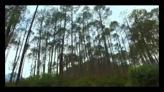 TATA STEEL - Values Stronger Than Steel - Bachendri Pal