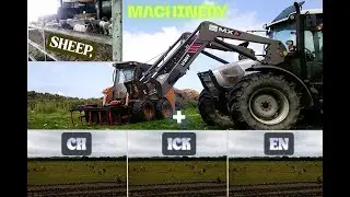 Chicken, Sheep & Machinery | Monday Jobs
