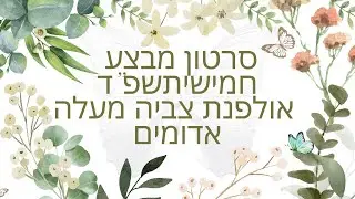סרט מבצע חמישיתשפד אולפנת צביה מעלה אדומים