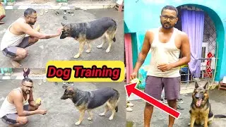 German Shepherd Dog Training Live video.../How to train a dog.