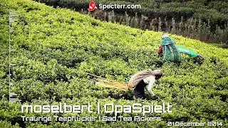 Traurige Teepfl&uuml;cker | Sad Tea Pickers