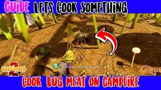 Grounded 2 Guide | Cook Bug Meat on Campfire | Cooking Tutorial 🍖🔥