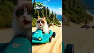 Beachside Racing🌴 / 走~一起去海邊賽車🏍️ / Come on! Let&rsquo;s race by the sea!☀️
