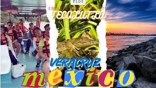 🌴 Aventura Salvaje en Tecolutla, Veracruz 🐊 | Manglares, Playa, Cocodrilos y Comida Típica 🍤 |