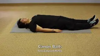 Primitive Reflexes | Tonic Labyrinth Reflex