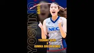 Yoshino Sato vs Gunma Green Wings Japan SV-League #japanvolleyball