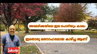 Сезон осенней листвы в Америке — это прекрасное зрелище 🍁