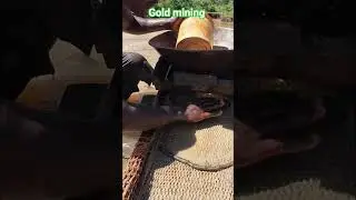 See the Gold mining process #gold #mining