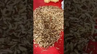 Yummy Sheermal 😋 Diwali sweets💥💥 #shorts#diwalisweets#festivesweets#indiansweet#diwalivibes#