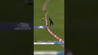 World best catch || Best cricket catcher in the World #shorts