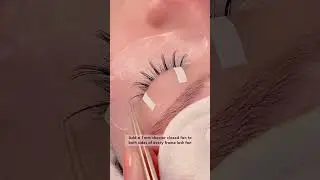 Fairy Wispy Lash Extensions Style