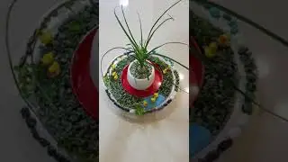 Unique Plants Position